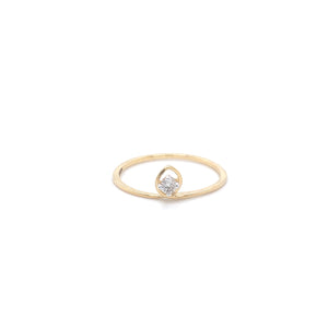 Spring Diamond Ring Facet Junction